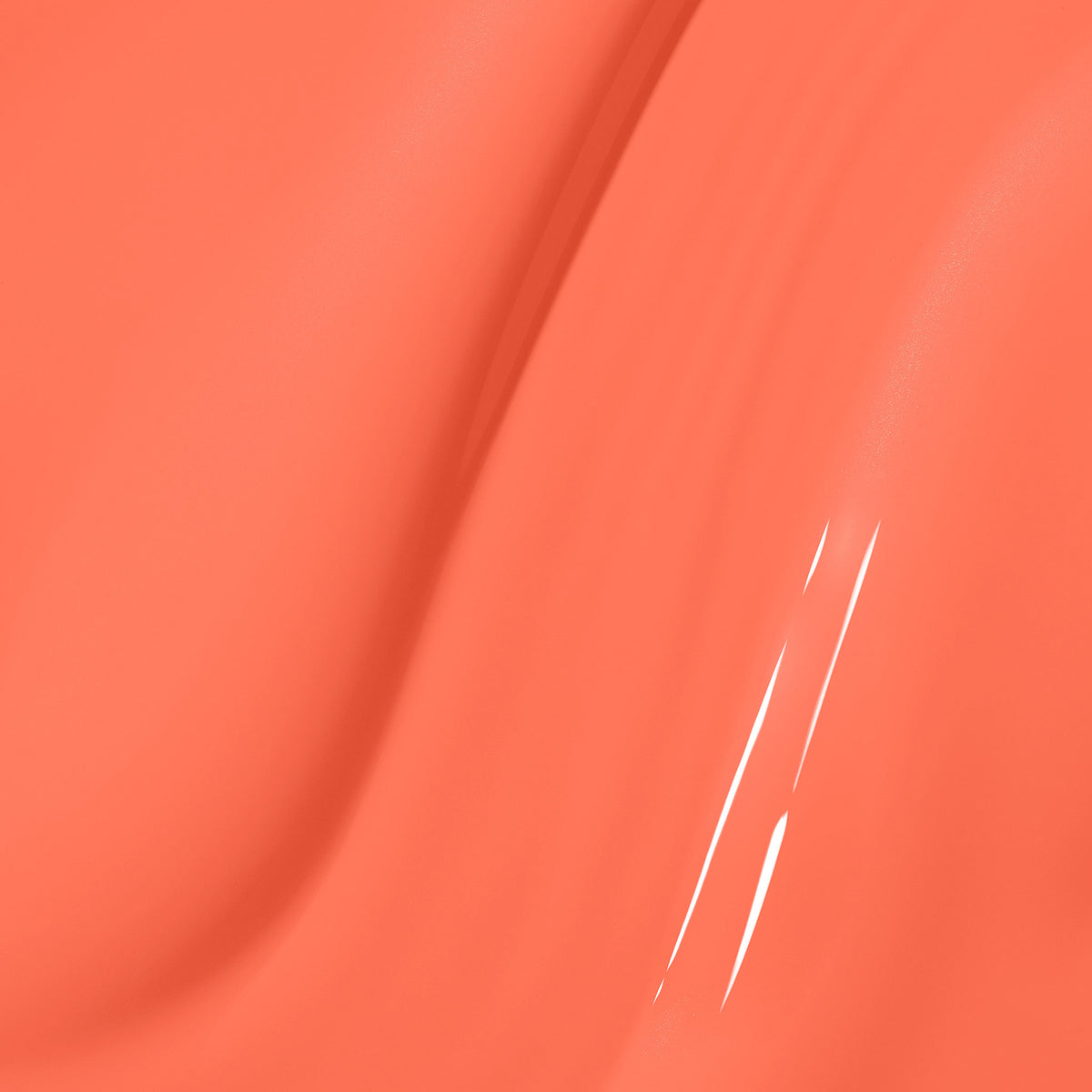 WHAT DOES THE FOX SAY | COULEUR - VERNIS GEL - APRÉS NAIL