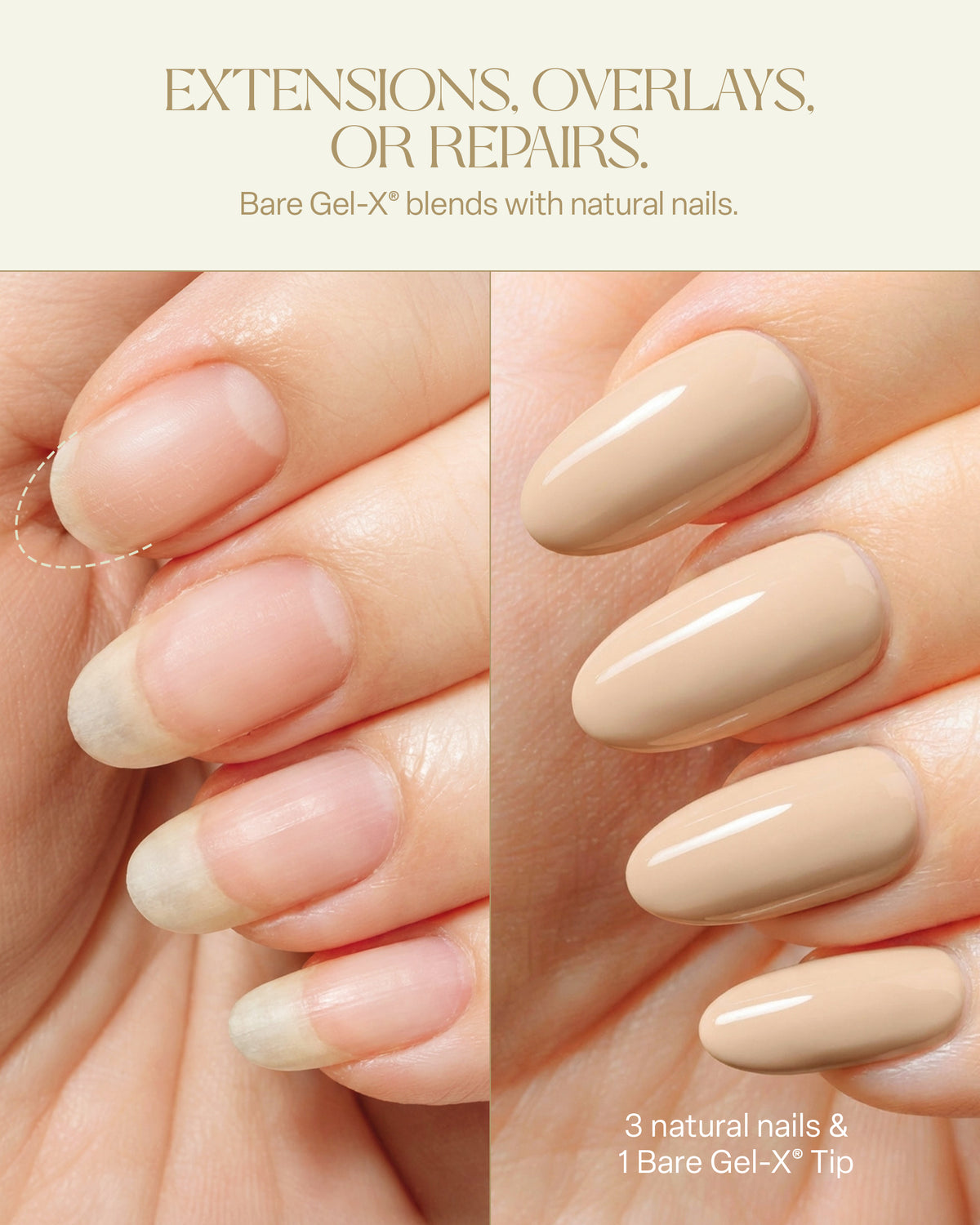 BARE GEL-X SOFT GEL TIPS BOXE | NATURAL OR SCULPTED - APRÉS NAIL