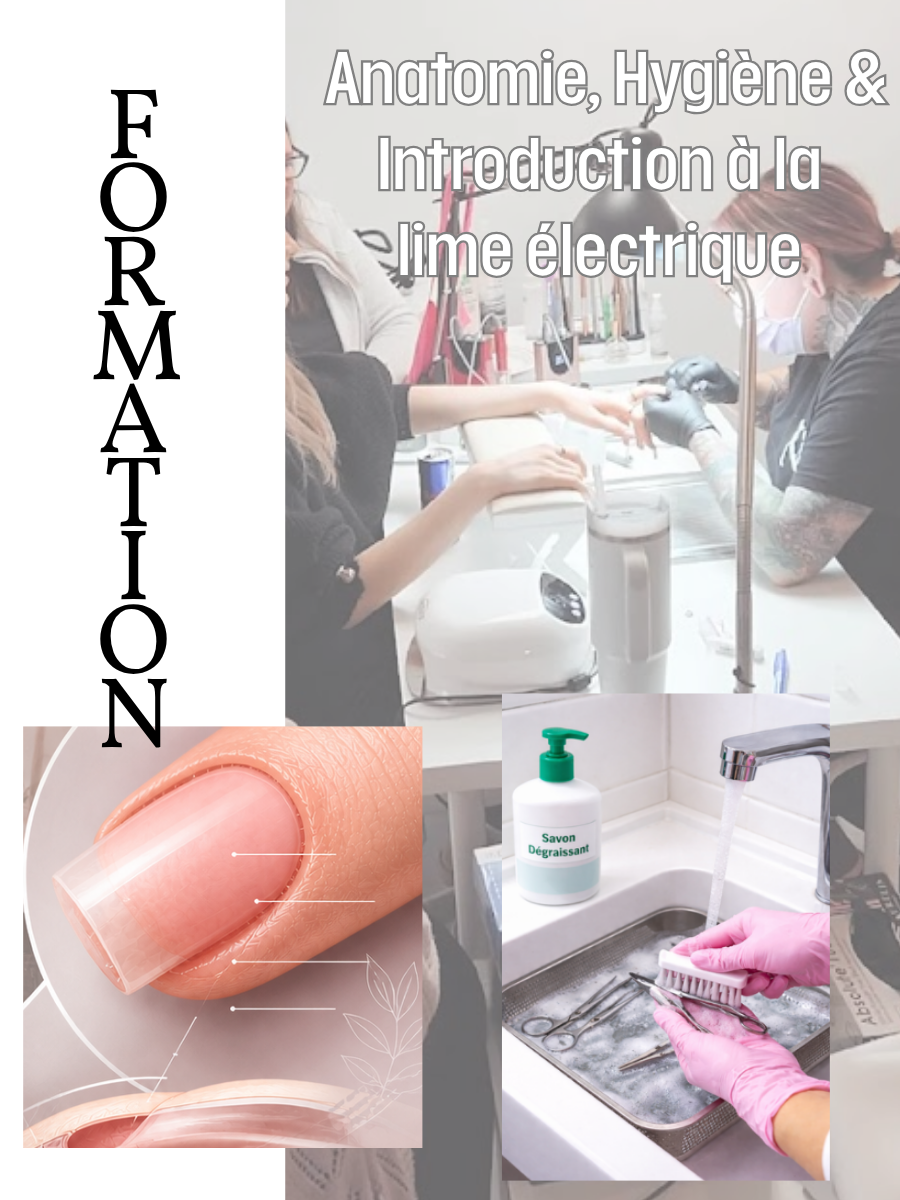FORMATION ANATOMIE, HYGIÈNE &amp; INTRODUCTION À LA LIME ÉLECTRIQUE | BASES ESSENTIELS
