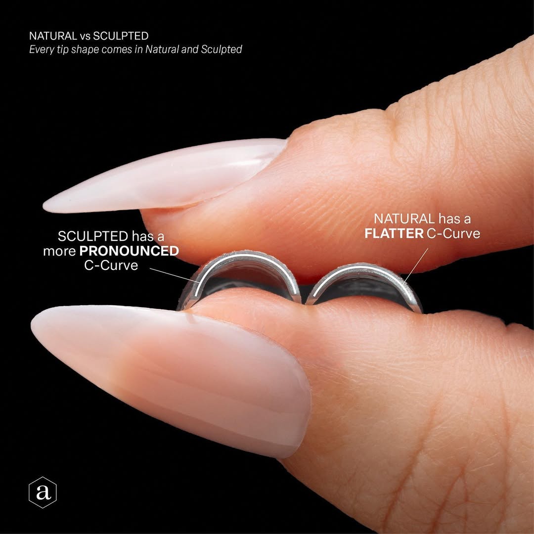 💅 FORMATION POSE AMÉRICAINE – CERTIFICATION AVEC SAVANNAH