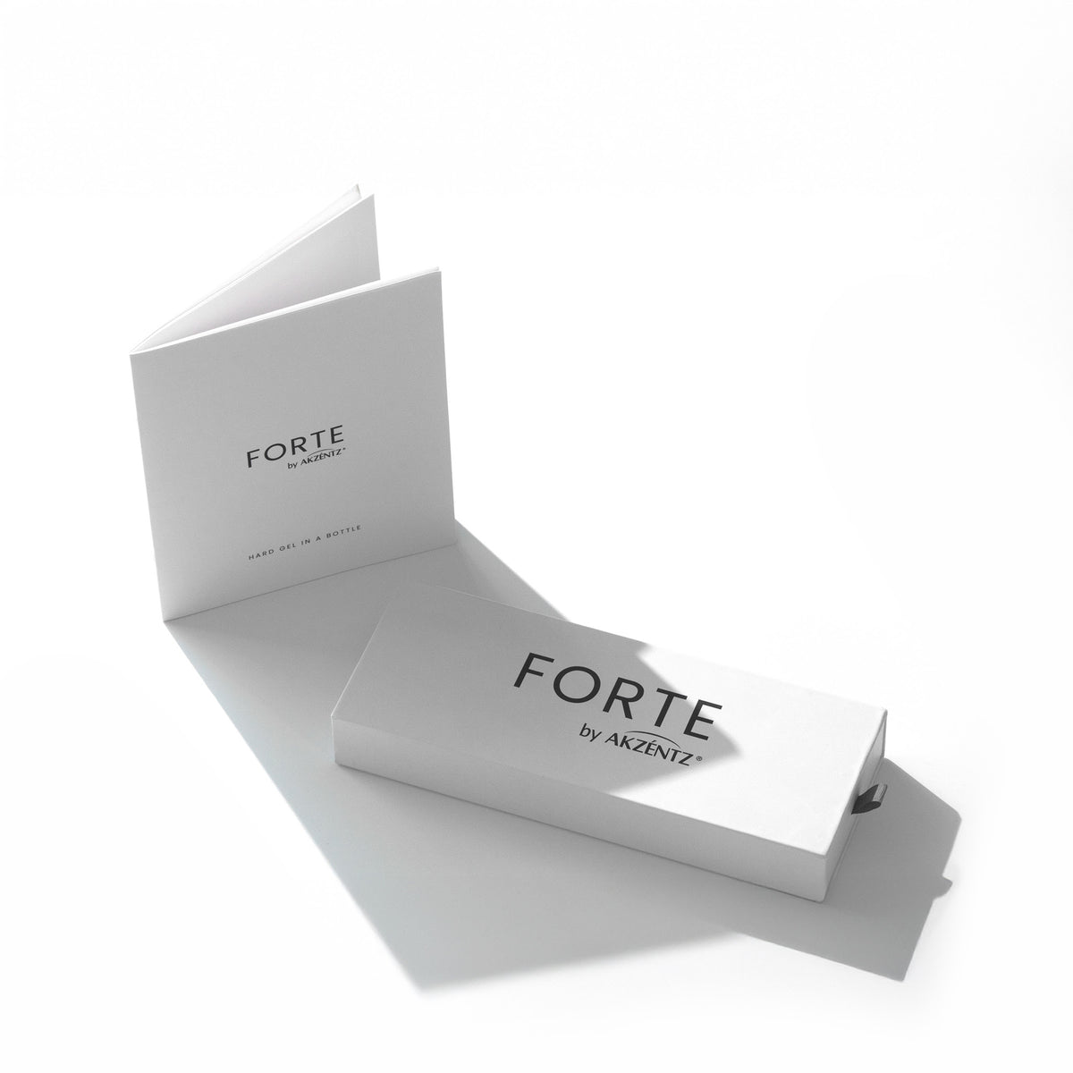 FORTE CATALOG | BROCHURE - AKZENTZ
