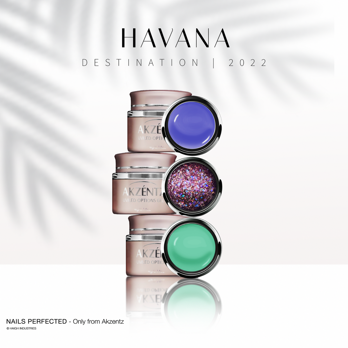 OPTIONS - AURORA SPARK - AKZENTZ