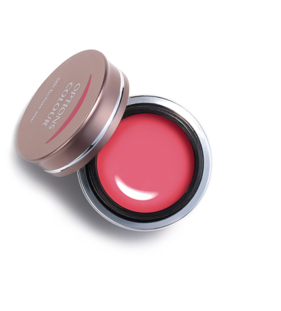 OPTIONS CORAL CARNATION COULEURS OPTIONS Nailify