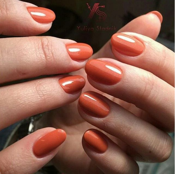 LUXIO INSPIRE  Nailify