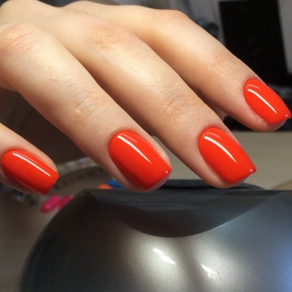 LUXIO PULSE  Nailify